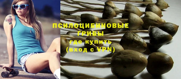гидропоника Алзамай