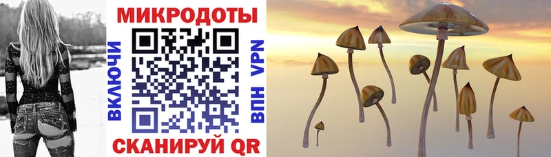 Купить где  Пласт  Галлюциногенные грибы ЛСД 